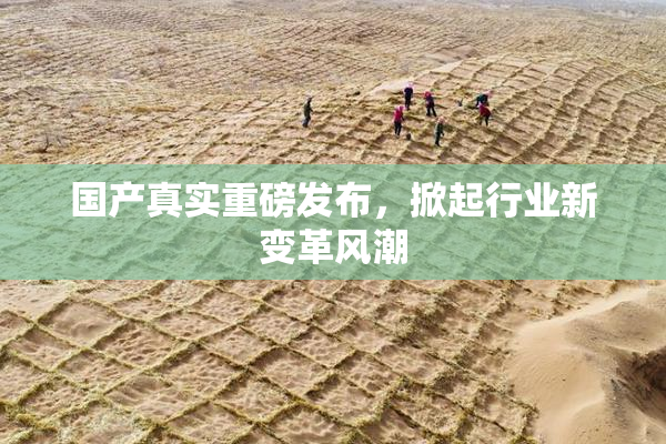 国产真实重磅发布，掀起行业新变革风潮