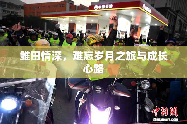 雏田情深，难忘岁月之旅与成长心路
