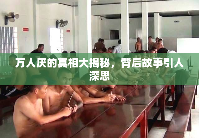 万人厌的真相大揭秘，背后故事引人深思