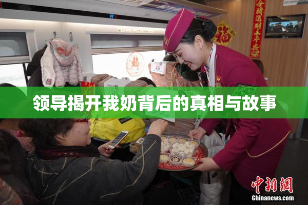 领导揭开我奶背后的真相与故事