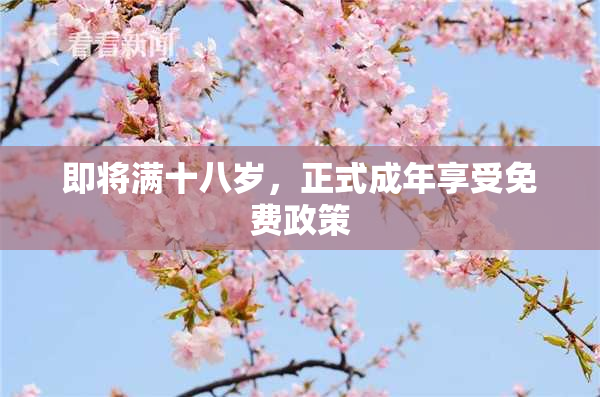 即将满十八岁，正式成年享受免费政策