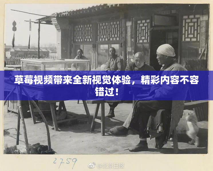 草莓视频带来全新视觉体验，精彩内容不容错过！