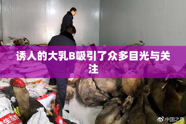 诱人的大乳B吸引了众多目光与关注