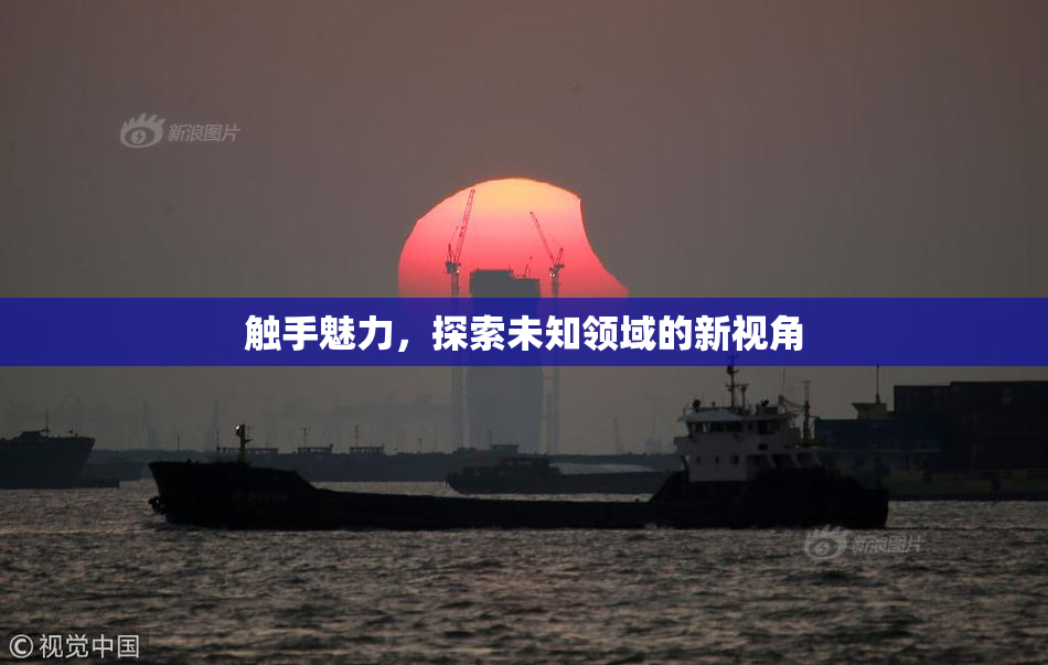 触手魅力，探索未知领域的新视角