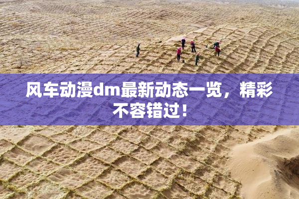 风车动漫dm最新动态一览，精彩不容错过！