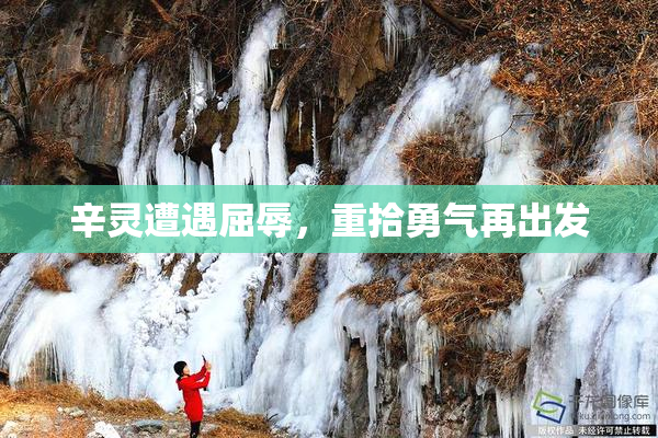 辛灵遭遇屈辱，重拾勇气再出发