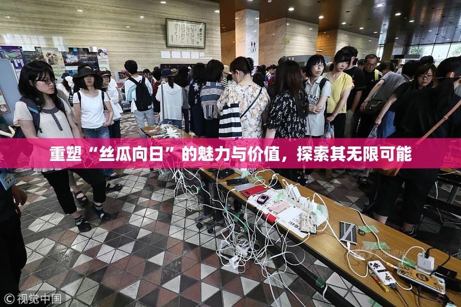 重塑“丝瓜向日”的魅力与价值，探索其无限可能