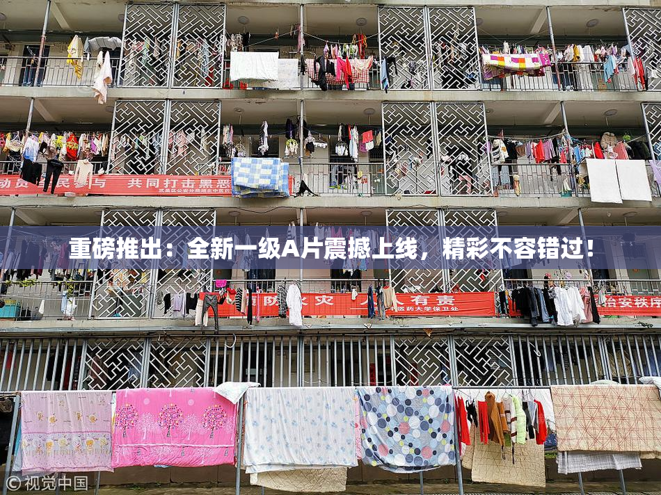 重磅推出：全新一级A片震撼上线，精彩不容错过！