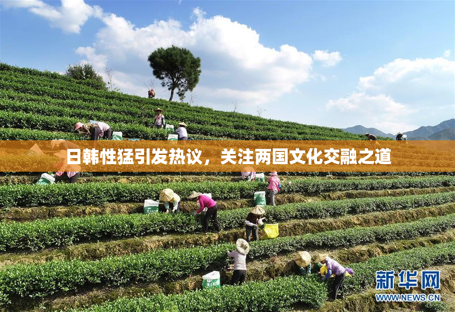 日韩性猛引发热议，关注两国文化交融之道