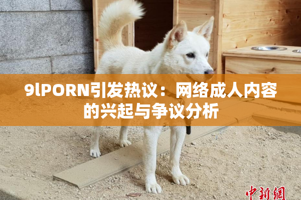 9lPORN引发热议：网络成人内容的兴起与争议分析