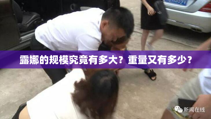 露娜的规模究竟有多大？重量又有多少？