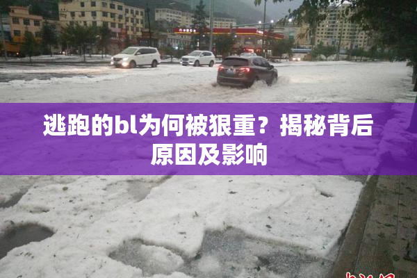 逃跑的bl为何被狠重？揭秘背后原因及影响