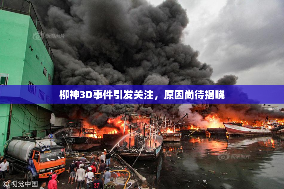 柳神3D事件引发关注，原因尚待揭晓