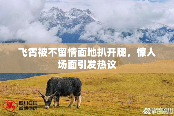 飞霄被不留情面地扒开腿，惊人场面引发热议
