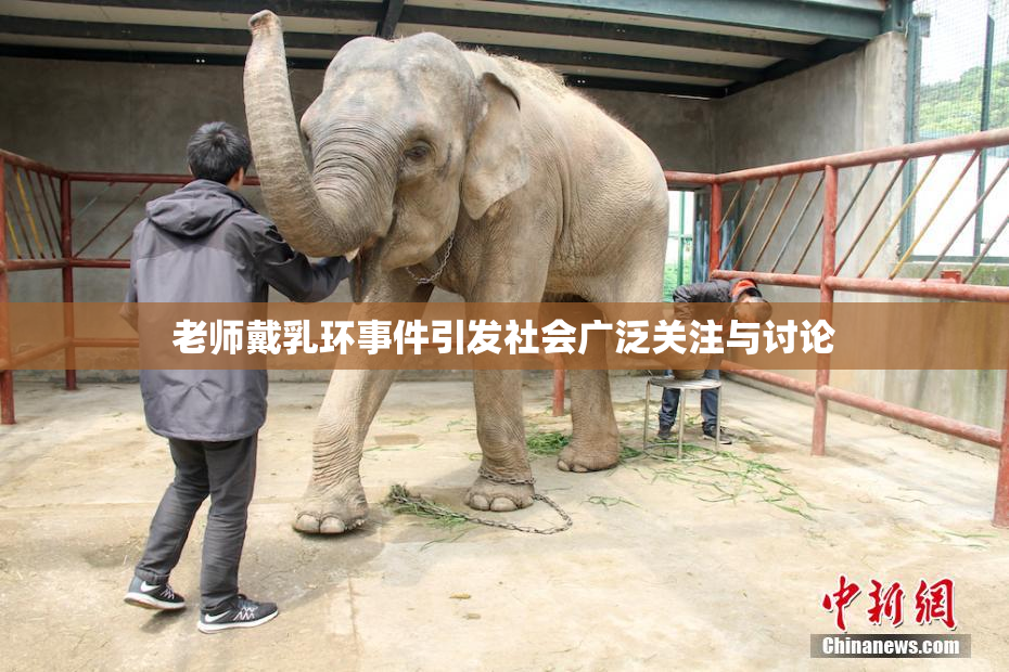 老师戴乳环事件引发社会广泛关注与讨论