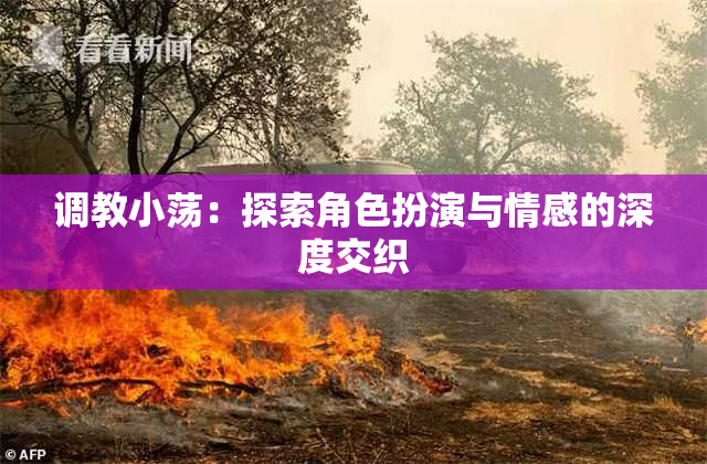 调教小荡：探索角色扮演与情感的深度交织