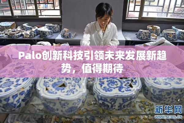 Palo创新科技引领未来发展新趋势，值得期待