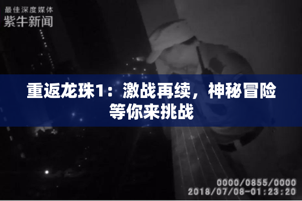 重返龙珠1：激战再续，神秘冒险等你来挑战