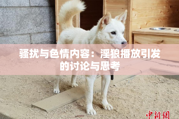 骚扰与色情内容：淫狼播放引发的讨论与思考