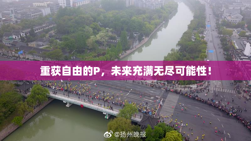 重获自由的P，未来充满无尽可能性！