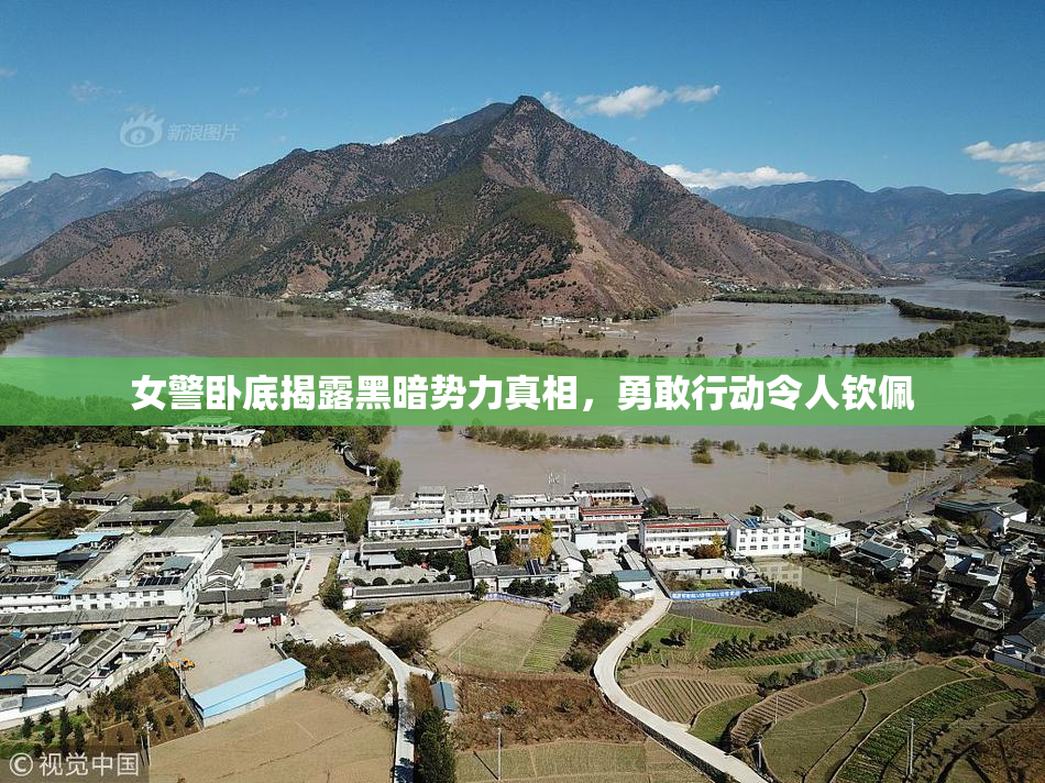 女警卧底揭露黑暗势力真相，勇敢行动令人钦佩