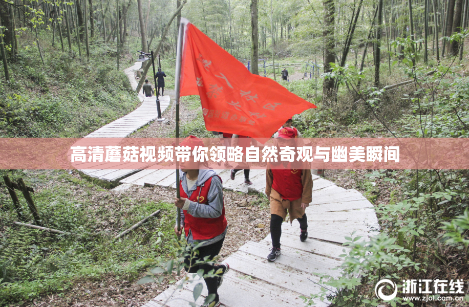 高清蘑菇视频带你领略自然奇观与幽美瞬间