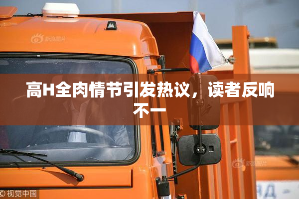 高H全肉情节引发热议，读者反响不一