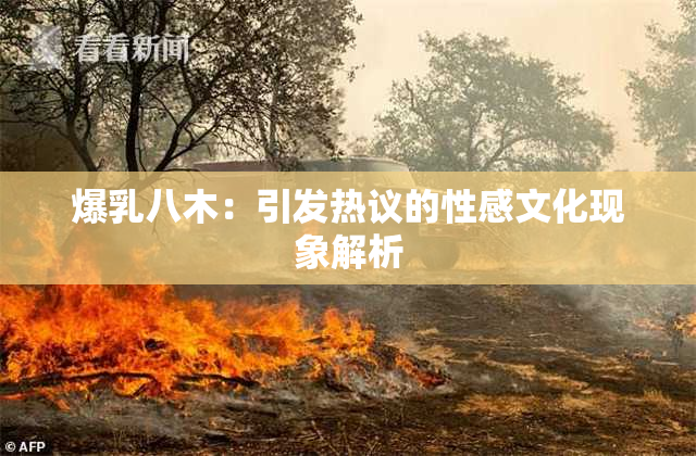 爆乳八木：引发热议的性感文化现象解析