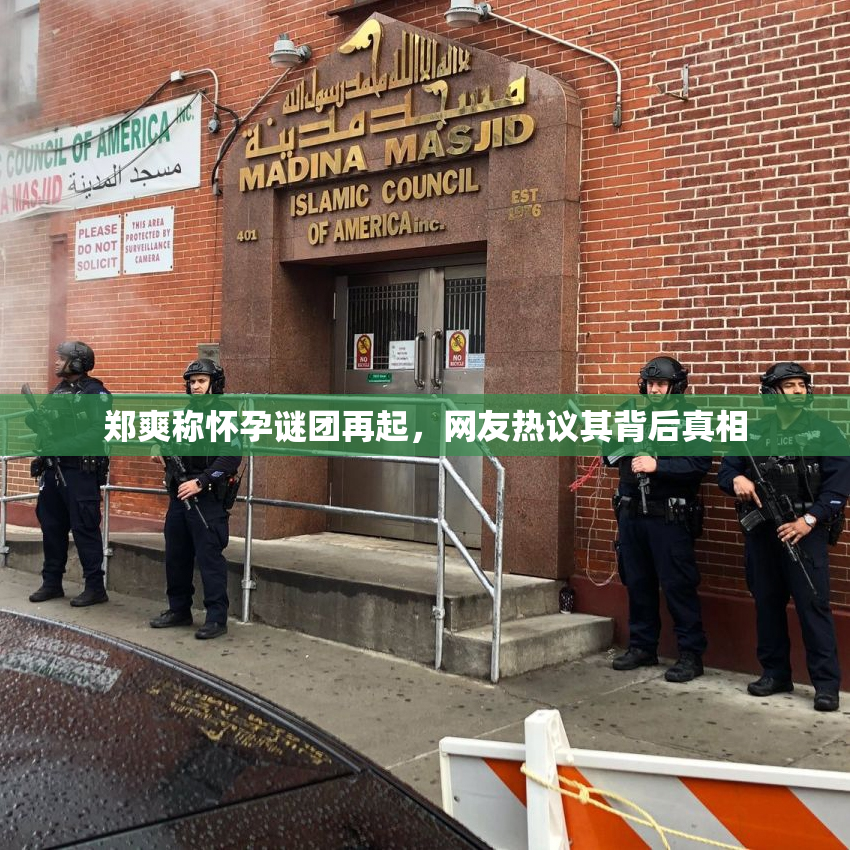 郑爽称怀孕谜团再起，网友热议其背后真相