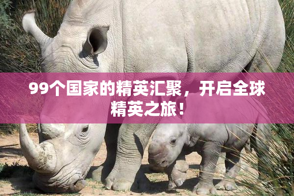 99个国家的精英汇聚，开启全球精英之旅！