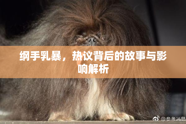 纲手乳暴，热议背后的故事与影响解析
