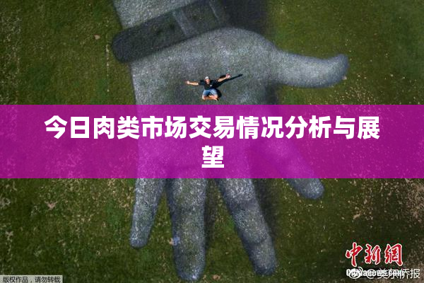 今日肉类市场交易情况分析与展望
