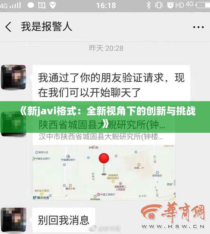 《新javi格式：全新视角下的创新与挑战》