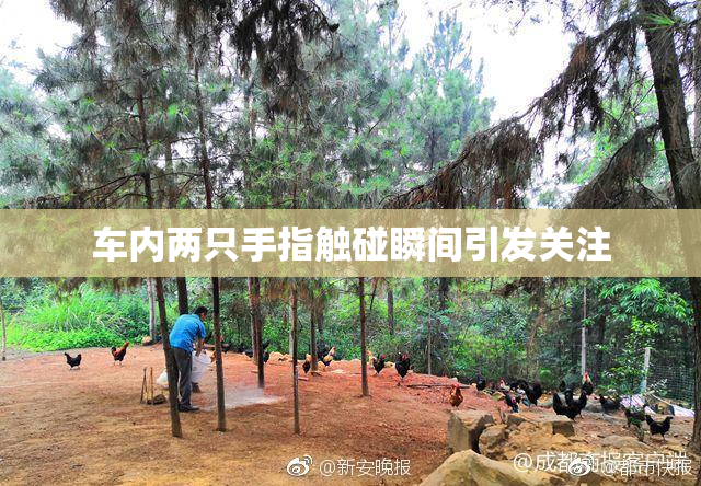 车内两只手指触碰瞬间引发关注