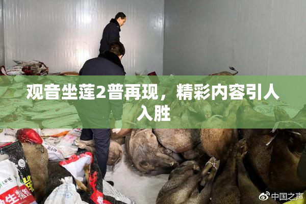 观音坐莲2普再现，精彩内容引人入胜
