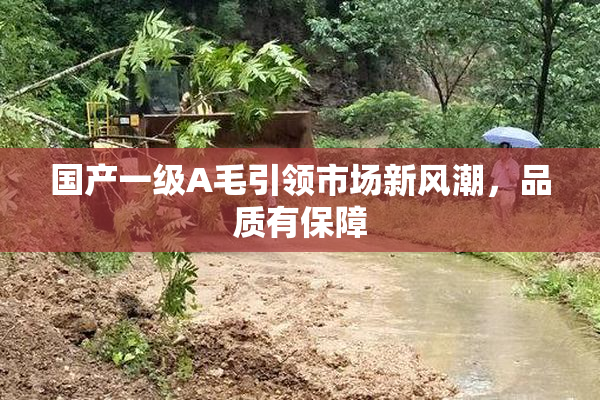 国产一级A毛引领市场新风潮，品质有保障