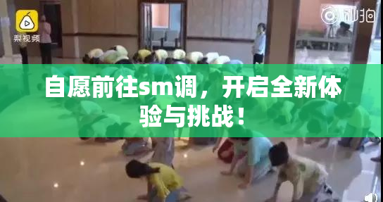 自愿前往sm调，开启全新体验与挑战！