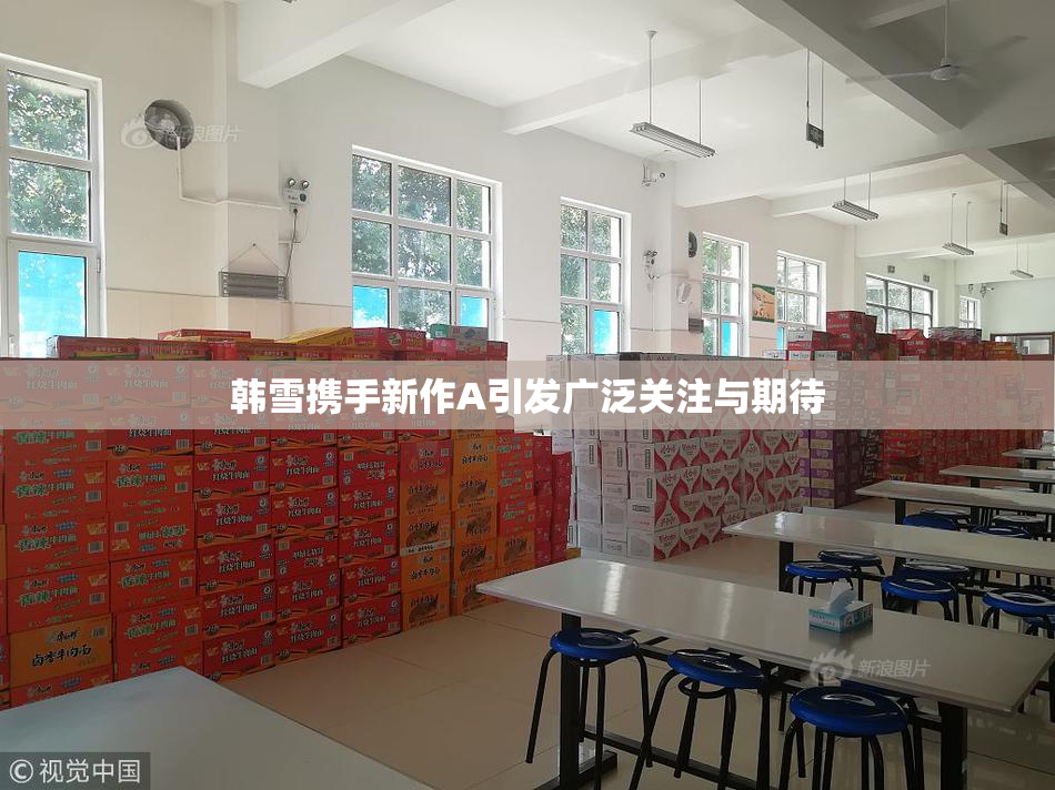 韩雪携手新作A引发广泛关注与期待