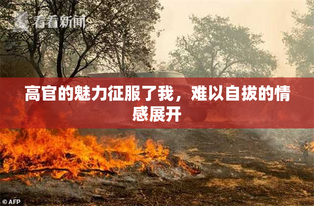 高官的魅力征服了我，难以自拔的情感展开