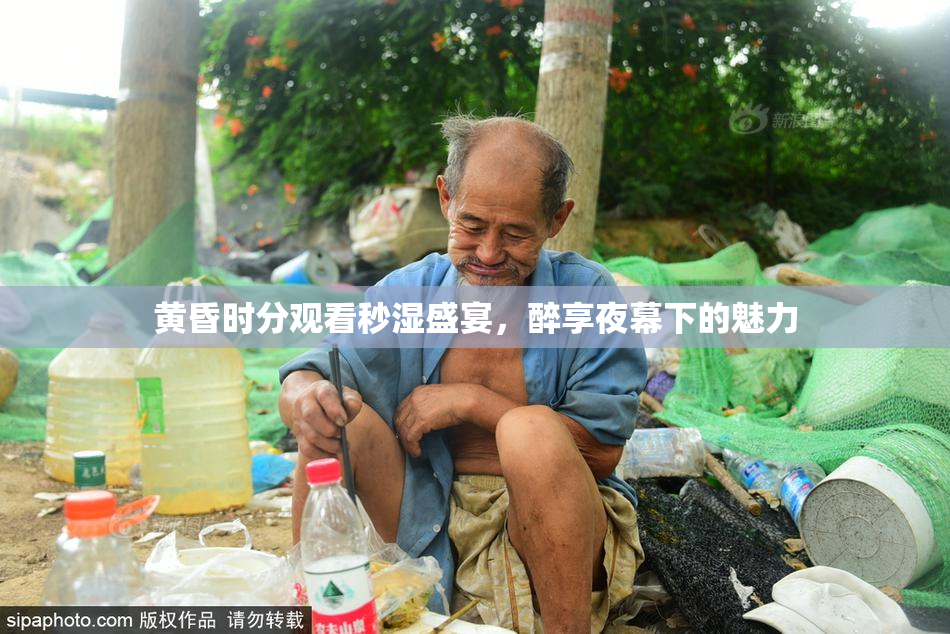 黄昏时分观看秒湿盛宴，醉享夜幕下的魅力