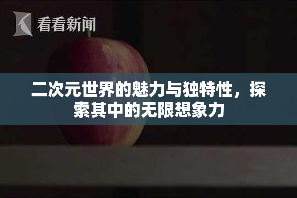 二次元世界的魅力与独特性，探索其中的无限想象力