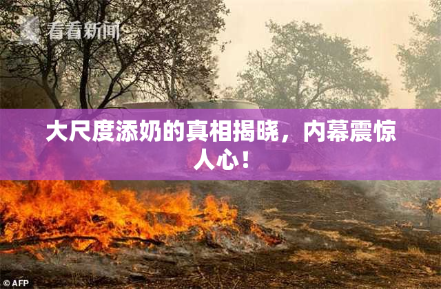 大尺度添奶的真相揭晓，内幕震惊人心！