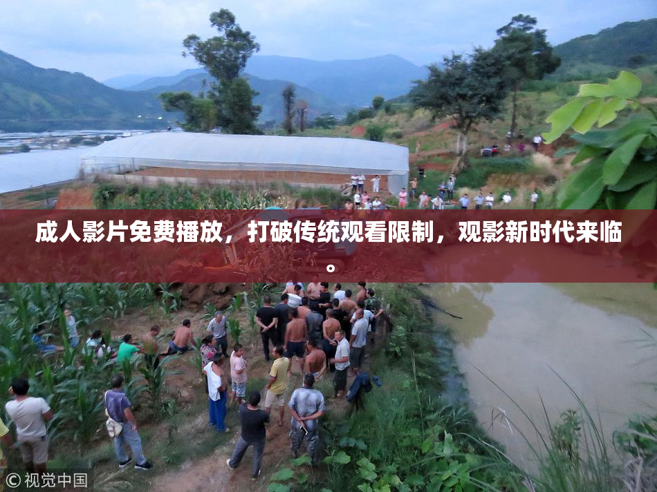 成人影片免费播放，打破传统观看限制，观影新时代来临。