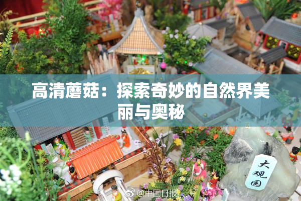 高清蘑菇：探索奇妙的自然界美丽与奥秘
