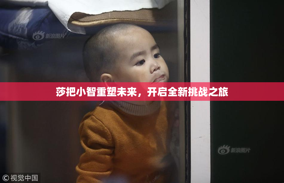 莎把小智重塑未来，开启全新挑战之旅