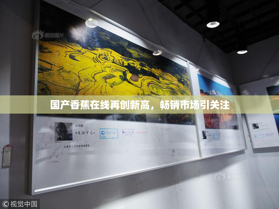 国产香蕉在线再创新高，畅销市场引关注