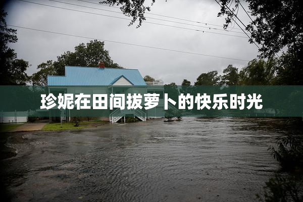 珍妮在田间拔萝卜的快乐时光