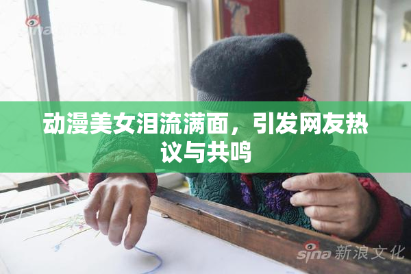 动漫美女泪流满面，引发网友热议与共鸣