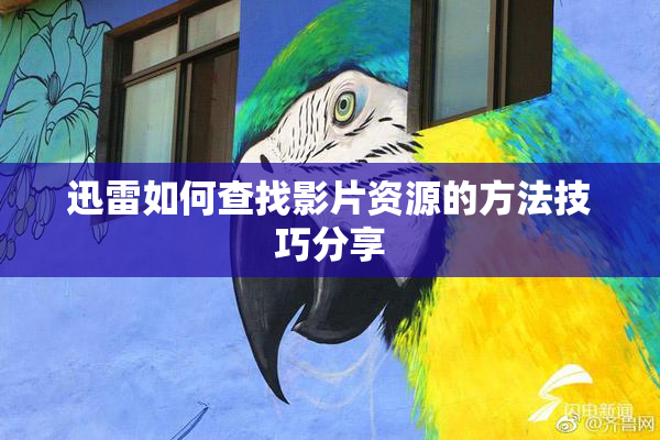 迅雷如何查找影片资源的方法技巧分享