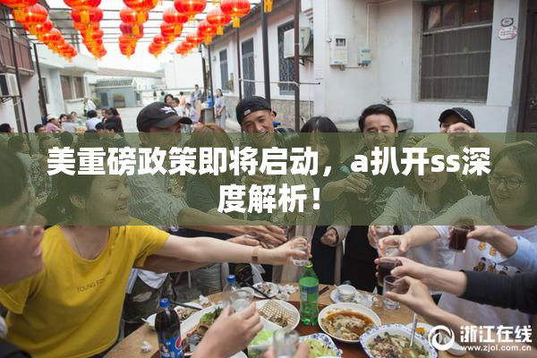 美重磅政策即将启动，a扒开ss深度解析！
